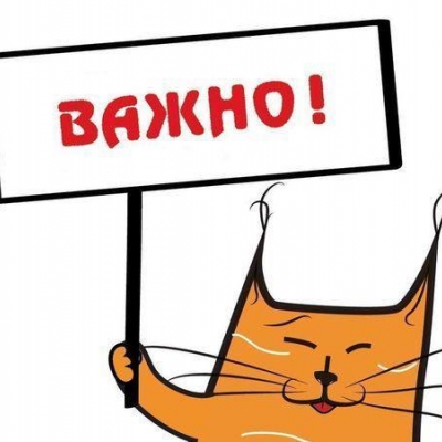 Доставка сертификатов в новогодние праздники осуществляться не будет!